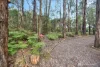 45 Herbert Avenue, East Warburton, Vic 3799-Image