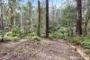 45 Herbert Avenue, East Warburton, Vic 3799-Image