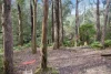 45 Herbert Avenue, East Warburton, Vic 3799-Image