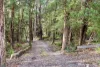 45 Herbert Avenue, East Warburton, Vic 3799-Image