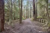 45 Herbert Avenue, East Warburton, Vic 3799-Image