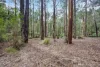 45 Herbert Avenue, East Warburton, Vic 3799-Image