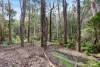 45 Herbert Avenue, East Warburton, Vic 3799-Image