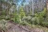 45 Herbert Avenue, East Warburton, Vic 3799-Image