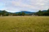 45 Millers Road, Lachlan, Tas 7140