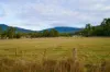 45 Millers Road, Lachlan, Tas 7140-Image
