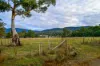 45 Millers Road, Lachlan, Tas 7140-Image