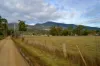45 Millers Road, Lachlan, Tas 7140-Image