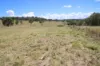 45 Neagles Lane, Tenterfield, NSW 2372-Image