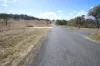 45 Neagles Lane, Tenterfield, NSW 2372-Image