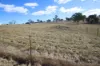 45 Neagles Lane, Tenterfield, NSW 2372-Image