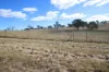 45 Neagles Lane, Tenterfield, NSW 2372-Image