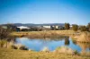 45 Reginald Road, Googong, NSW 2620-Image
