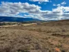 451 Murrumbidgee Drive, Bredbo, NSW 2626-Image
