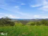452 Back Tea Tree Road, Richmond, Tas 7025-Image