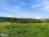 452 Back Tea Tree Road, Richmond, Tas 7025-Image
