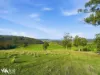 452 Back Tea Tree Road, Richmond, Tas 7025-Image