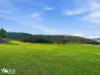 452 Back Tea Tree Road, Richmond, Tas 7025-Image