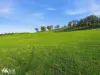 452 Back Tea Tree Road, Richmond, Tas 7025-Image