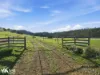 452 Back Tea Tree Road, Richmond, Tas 7025-Image