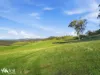 452 Back Tea Tree Road, Richmond, Tas 7025-Image