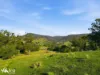 452 Back Tea Tree Road, Richmond, Tas 7025-Image