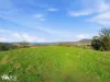452 Back Tea Tree Road, Richmond, Tas 7025-Image