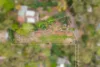 45b Hammond Avenue, Normanhurst, NSW 2076-Image