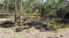 46 Arborthree Rd, Glenwood, Qld 4570-Image