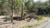 46 Arborthree Rd, Glenwood, Qld 4570-Image