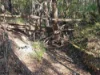 46 Arborthree Rd, Glenwood, Qld 4570-Image