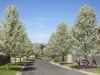 46 Excelsior Heights, Craigieburn, Vic 3064-Image
