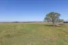 46 High Street, Wallalong, NSW 2320-Image
