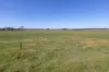 46 High Street, Wallalong, NSW 2320-Image