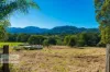 46 KIRKLAND ROAD, Nimbin, NSW 2480-Image