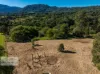 46 KIRKLAND ROAD, Nimbin, NSW 2480-Image