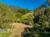 46 KIRKLAND ROAD, Nimbin, NSW 2480-Image