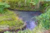 46 KIRKLAND ROAD, Nimbin, NSW 2480-Image
