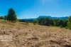 46 KIRKLAND ROAD, Nimbin, NSW 2480-Image