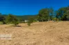 46 KIRKLAND ROAD, Nimbin, NSW 2480-Image