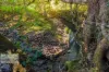46 KIRKLAND ROAD, Nimbin, NSW 2480-Image