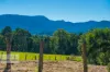 46 KIRKLAND ROAD, Nimbin, NSW 2480-Image