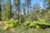46 Kosekai Road, Yarranbella, NSW 2447-Image