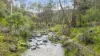 46 N Oatlands Road, Yarrambat, Vic 3091-Image