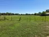 46 Queen Street, Avenel, Vic 3664-Image