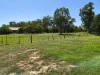 46 Queen Street, Avenel, Vic 3664-Image