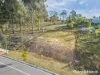 46 Royston Circuit, Farley, NSW 2320-Image