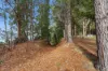 4645 Channel Highway, Gordon, Tas 7150-Image