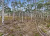 465 Mulwaree Drive, Tallong, NSW 2579-Image