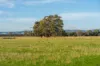 467 Lightbody Road, Mardella, WA 6125-Image